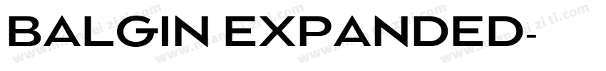 BALGIN EXPANDED字体转换